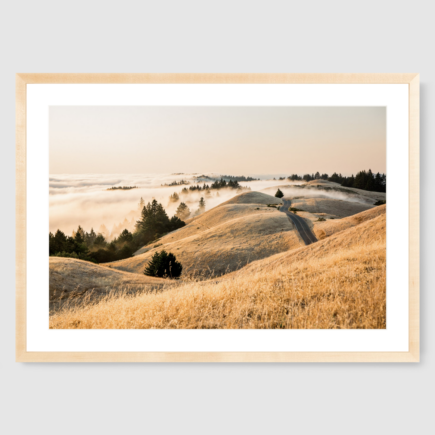 Mt. Tam Low Fog