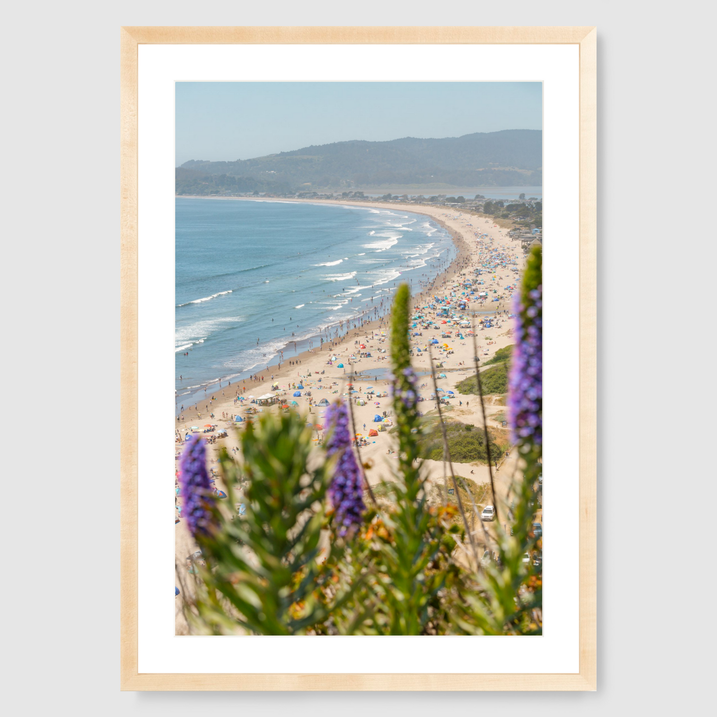 Purple Flowers at Stinson