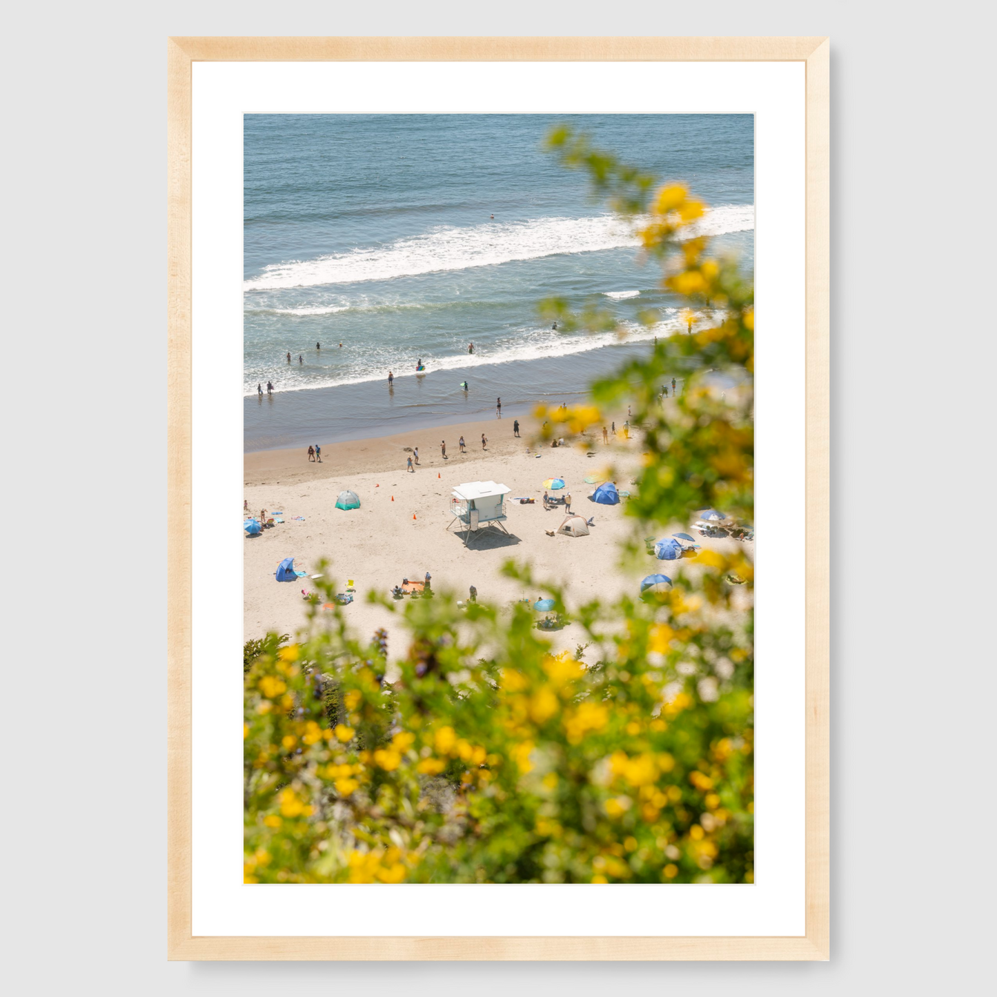 Yellow Flowers at Stinson