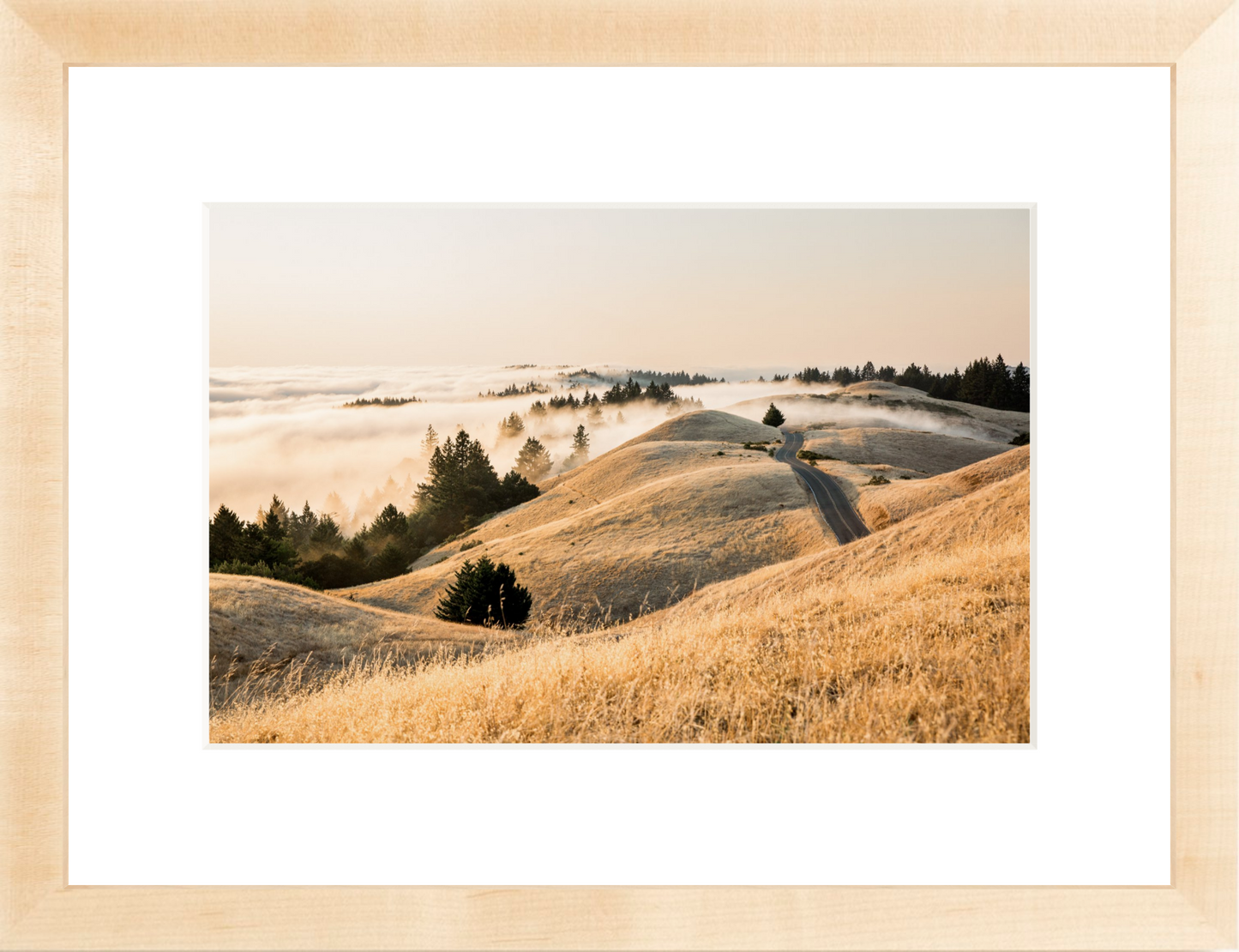 Mt. Tam Low Fog