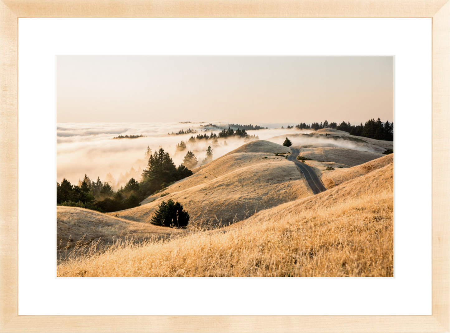 Mt. Tam Low Fog