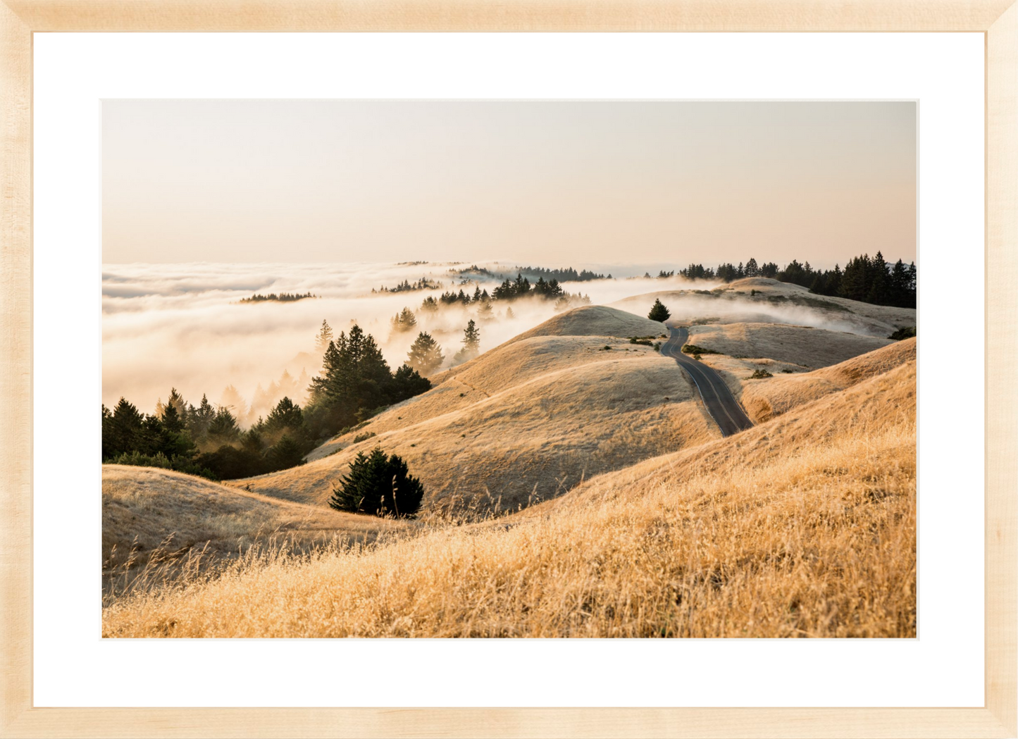 Mt. Tam Low Fog