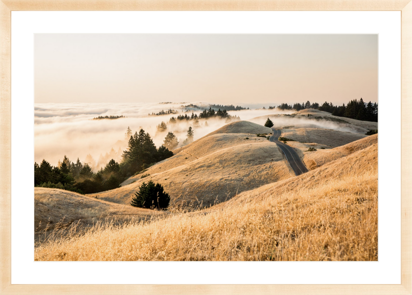 Mt. Tam Low Fog