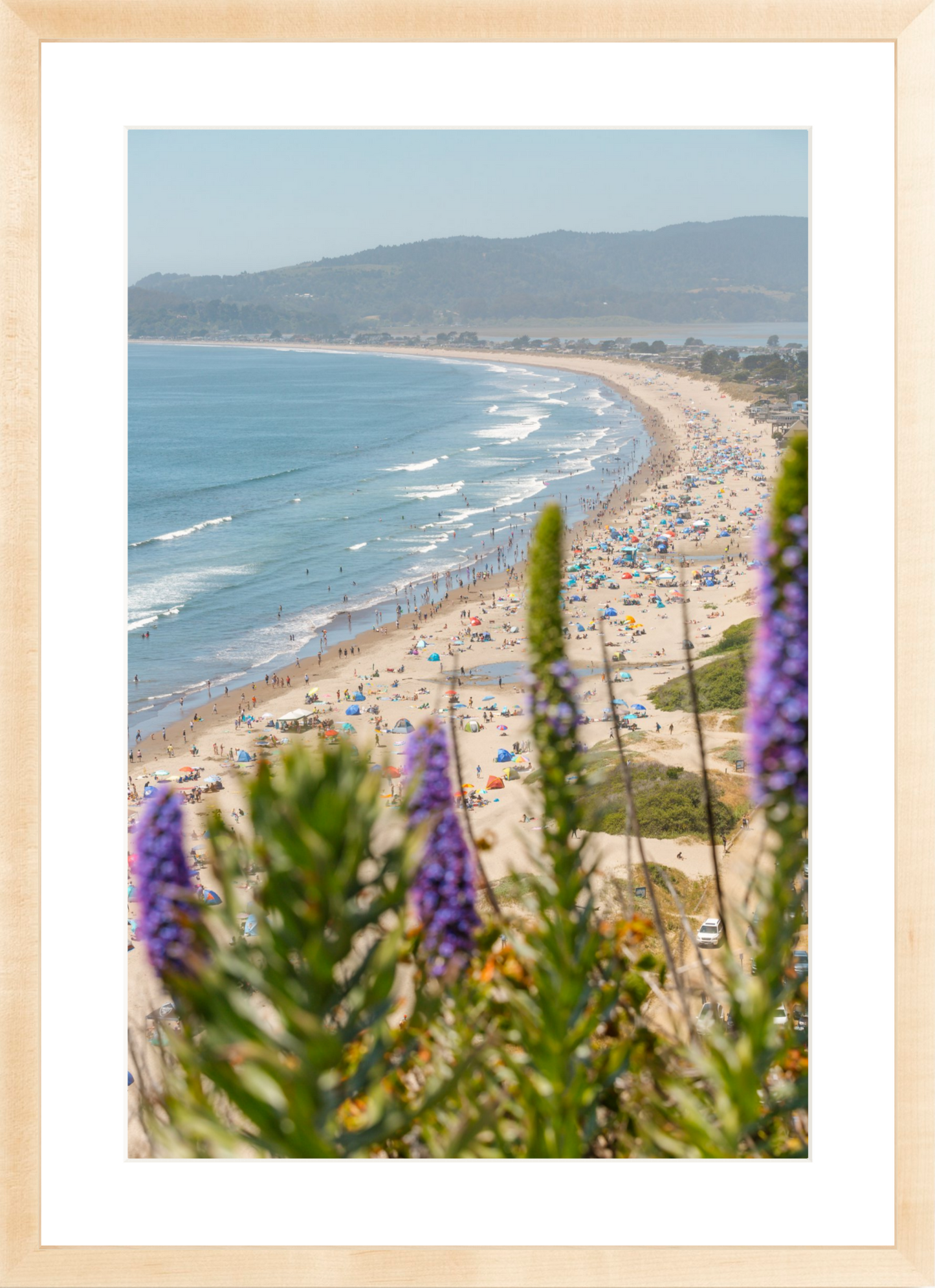 Purple Flowers at Stinson