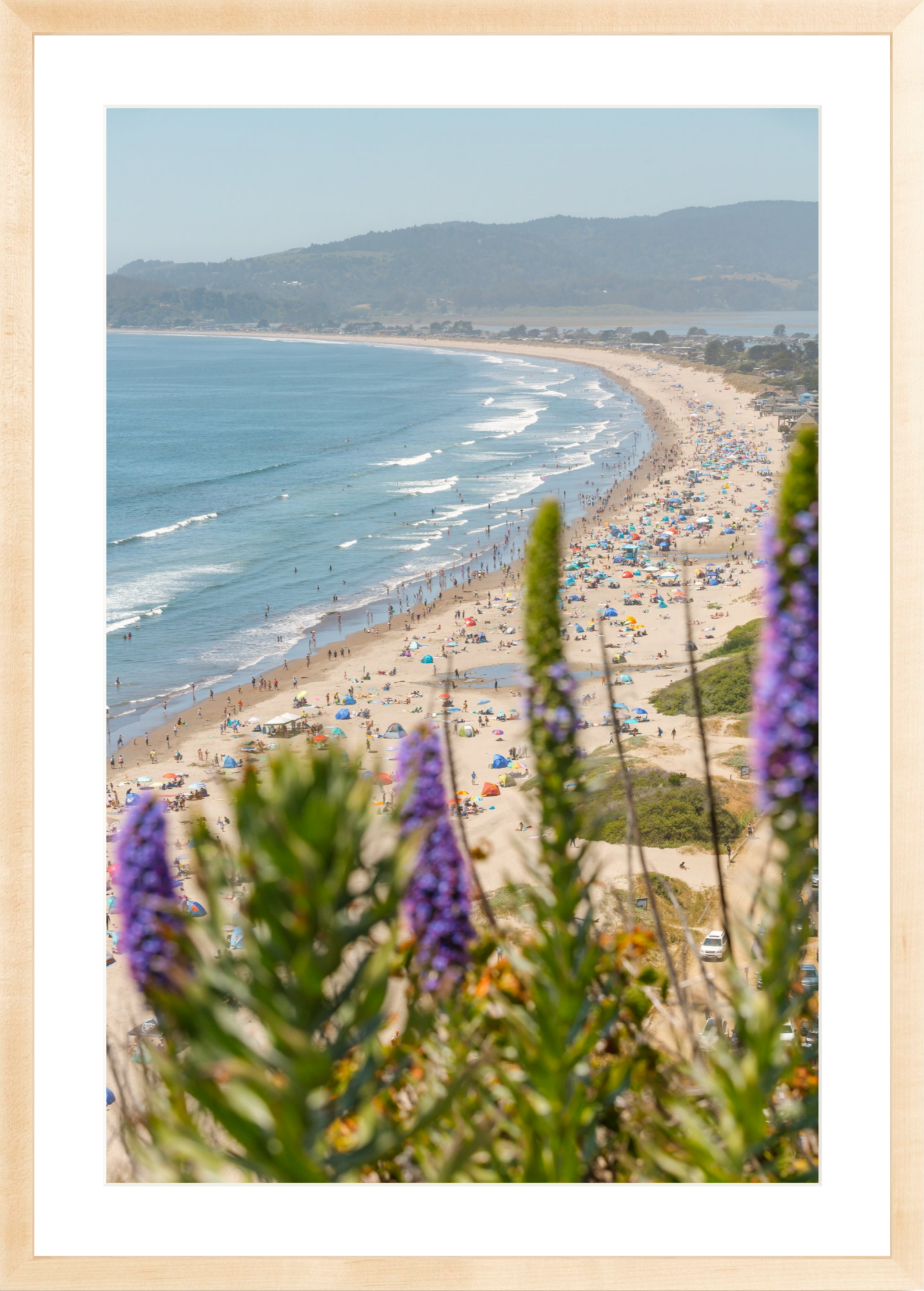 Purple Flowers at Stinson