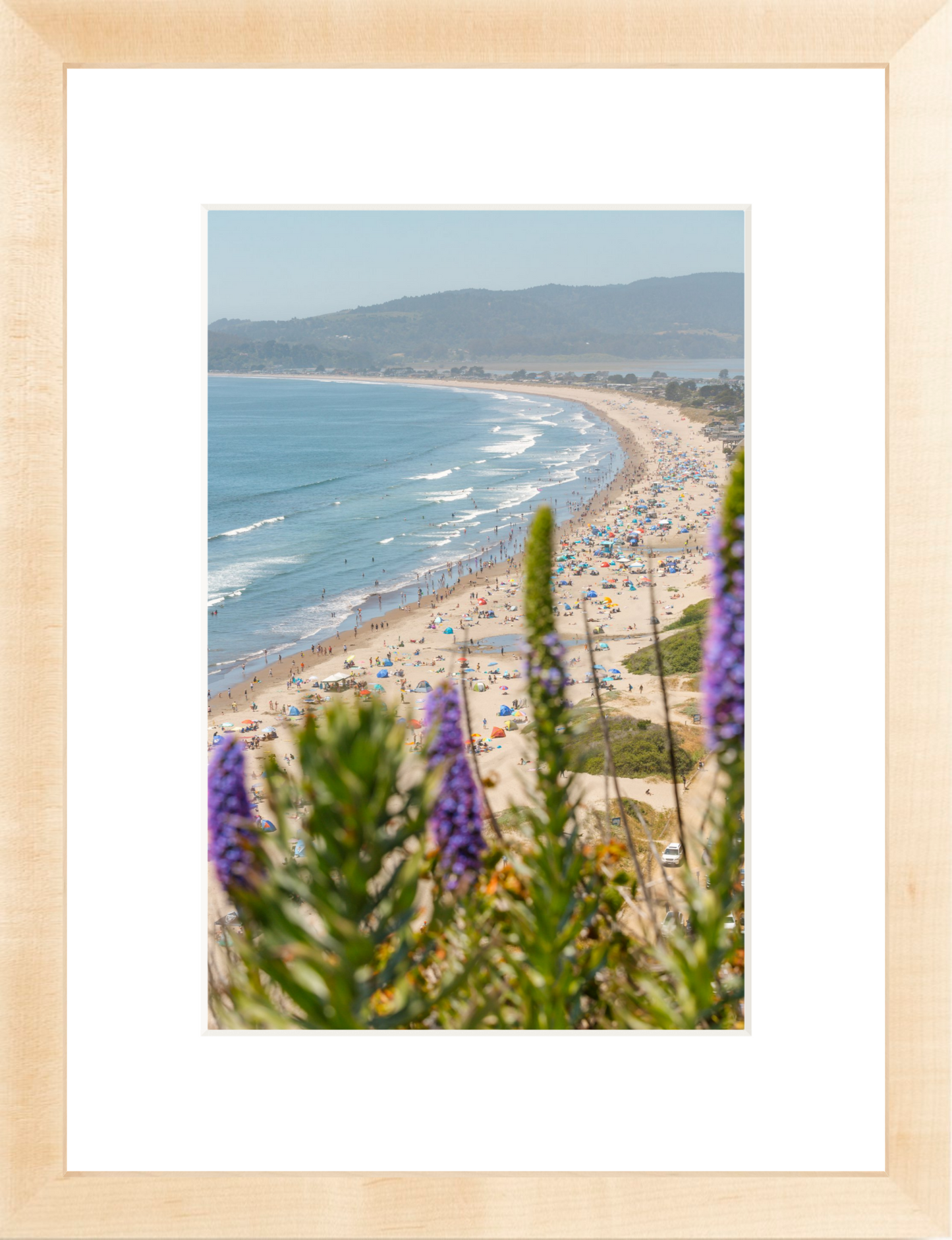 Purple Flowers at Stinson