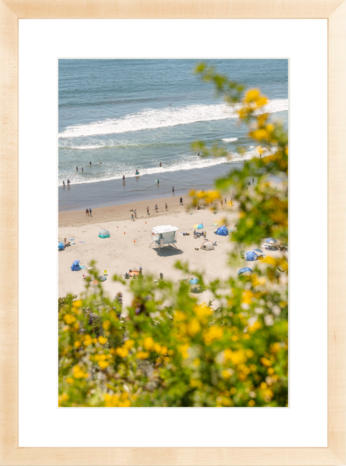 Yellow Flowers at Stinson