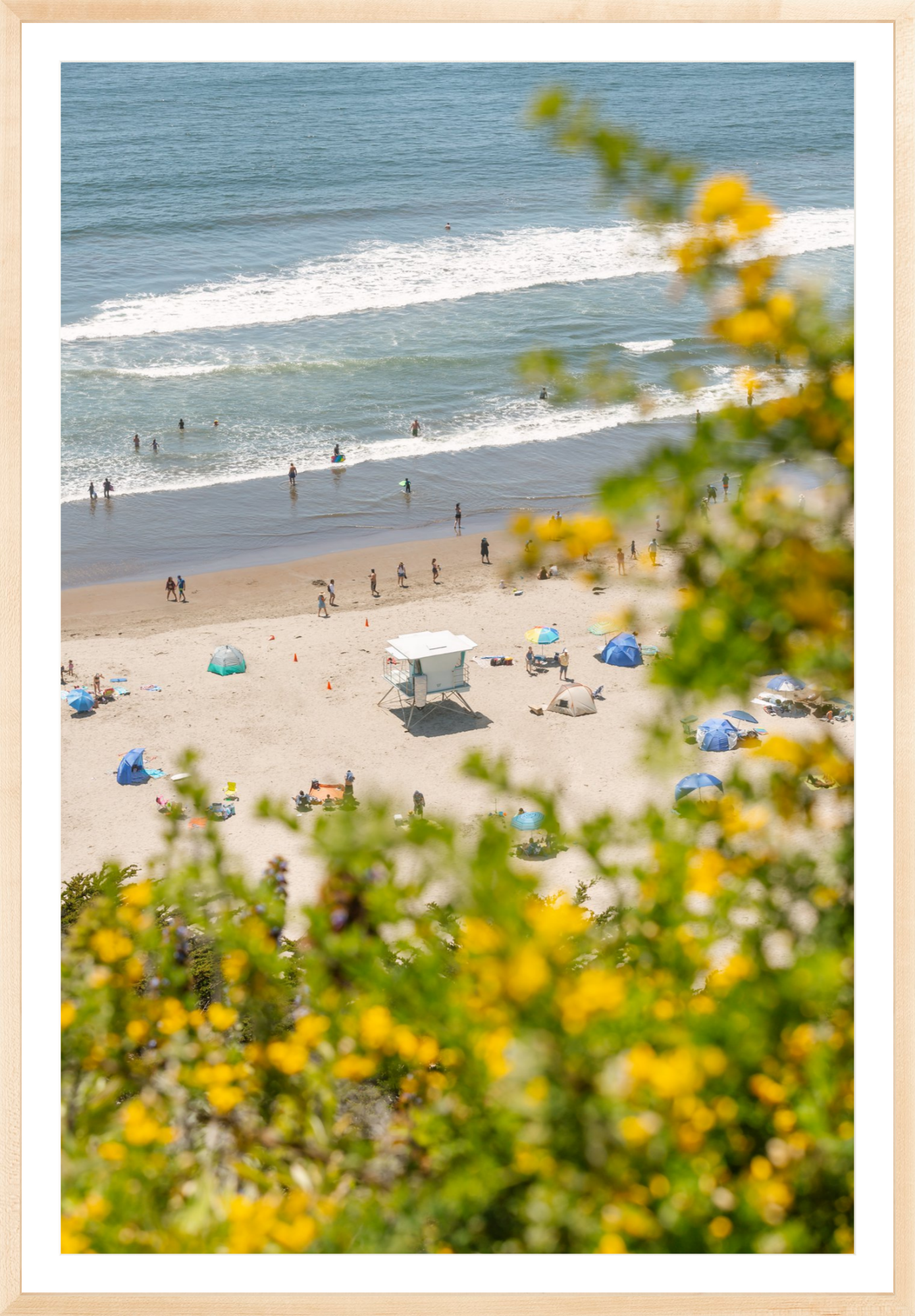 Yellow Flowers at Stinson