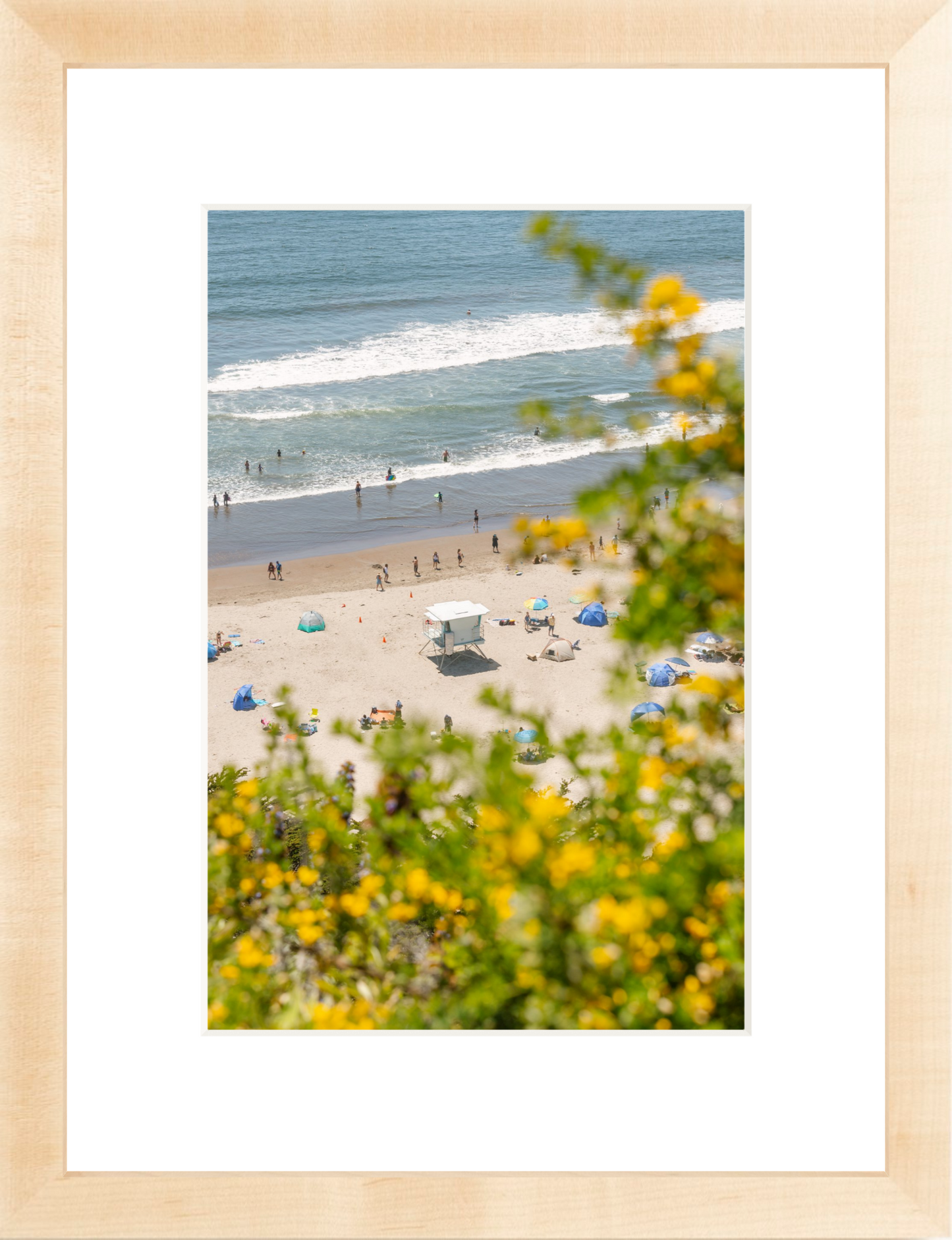 Yellow Flowers at Stinson