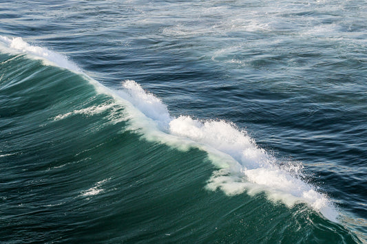 Pacific Wave (Framed Print at Wellness Collective)