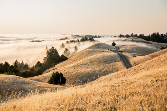 Mt Tam Low Fog (Framed Print at Wellness Collective)